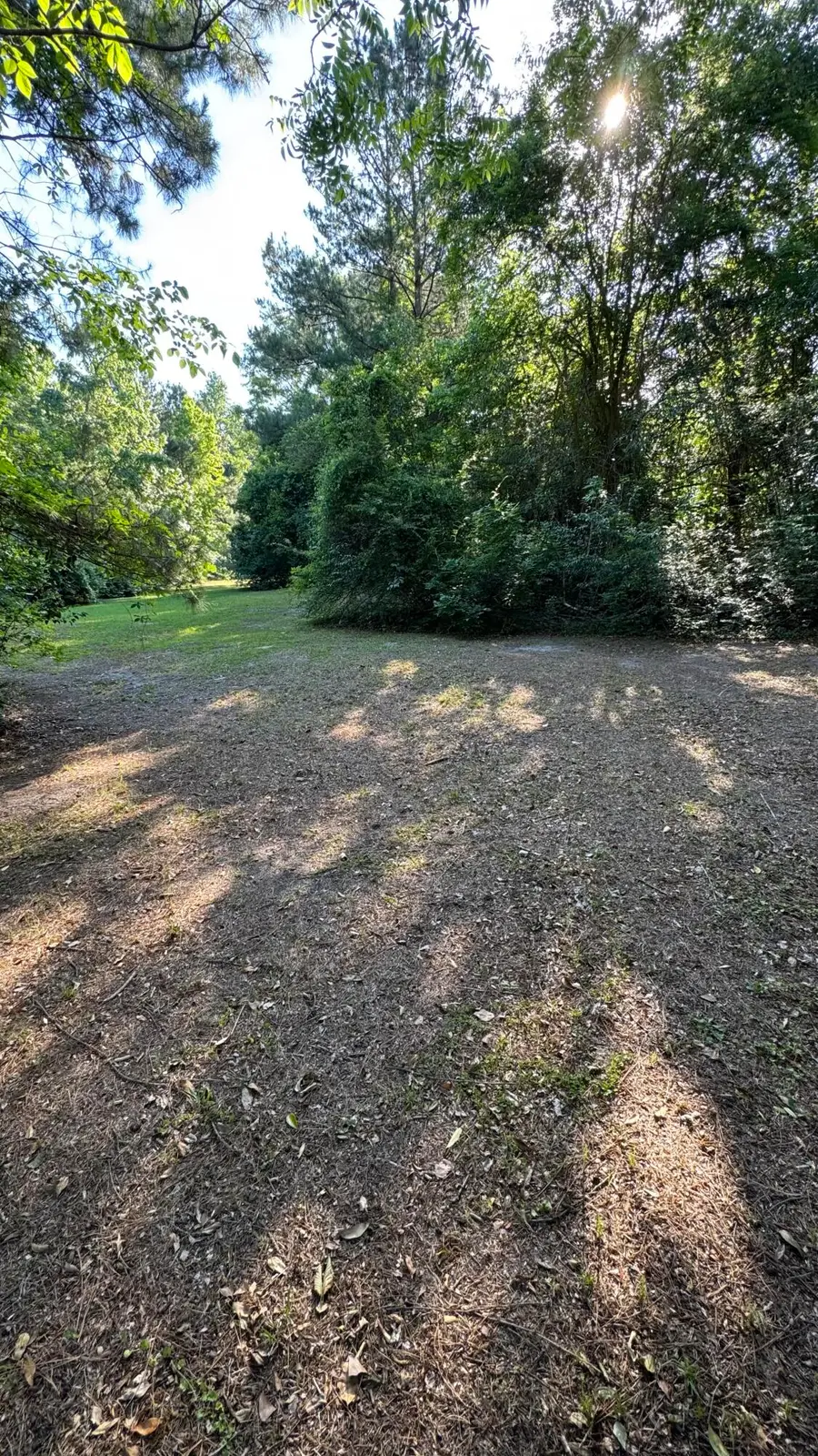 5154 Wash Davis Road, Summerton, SC 29148 - #3