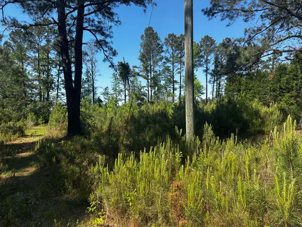 0 Nero Circle, Lynchburg, SC 29080