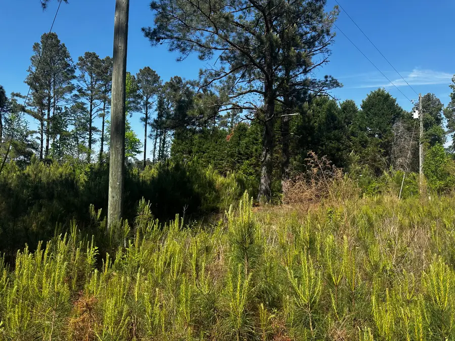 0 Nero Circle, Lynchburg, SC 29080 - #2