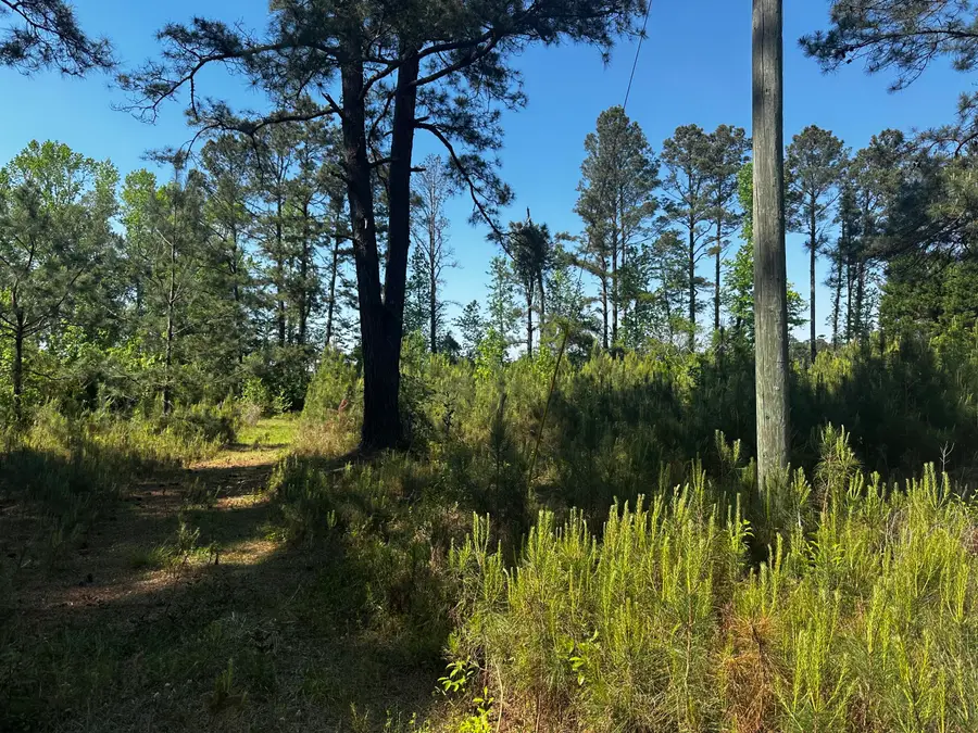 0 Nero Circle, Lynchburg, SC 29080 - #3