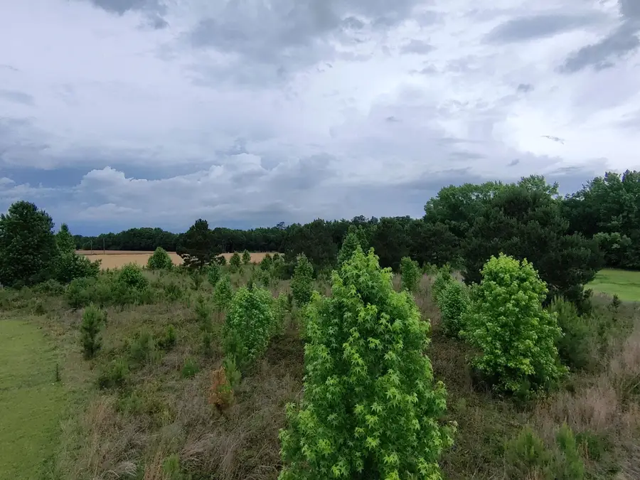 3821 Nicole Lane, Sumter, SC 29153 - #3