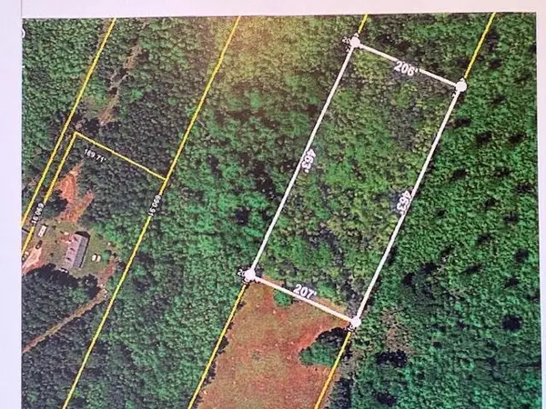 0 Youngs Road, Eutawville, SC 29048
