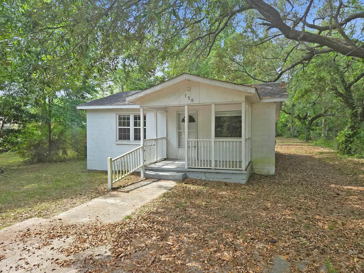 750 Wolfe Street, Elloree, SC 29047 - #1