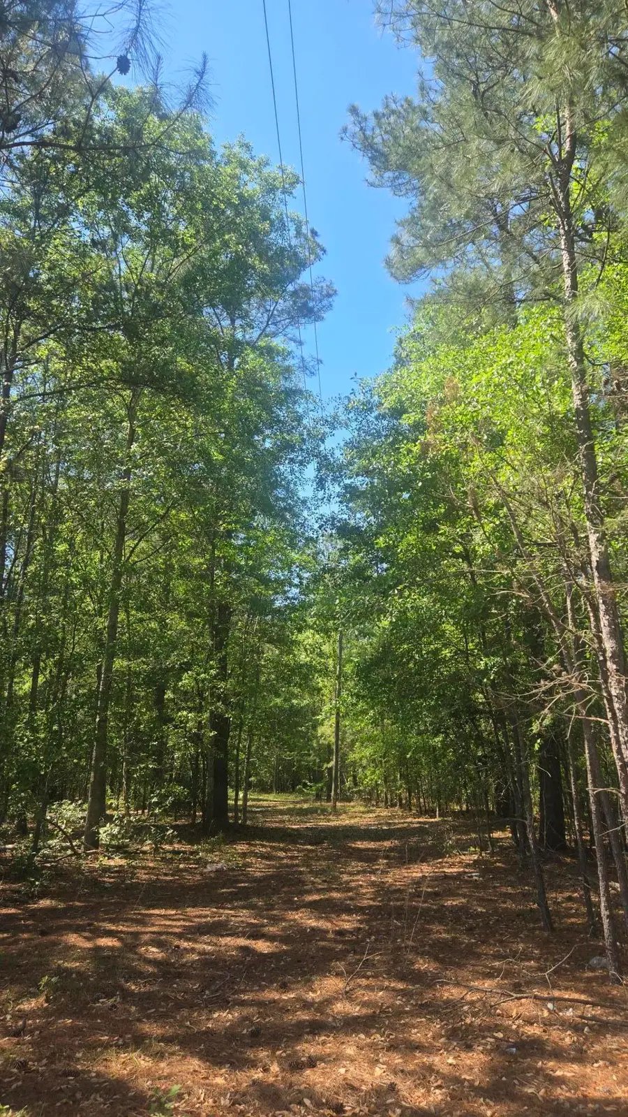 415 Pearson Road, Sumter, SC 29150 - #3