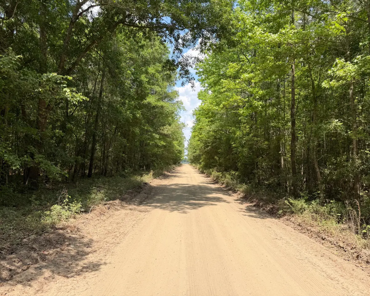 0 Toney Bay Road, Holly Hill, SC 29059 - #1