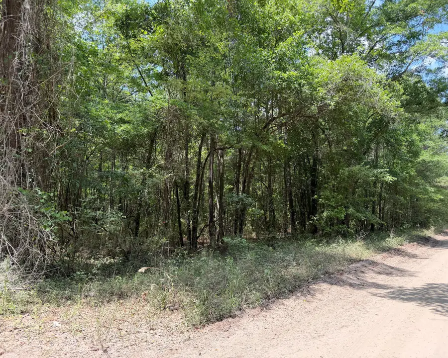 0 Toney Bay Road, Holly Hill, SC 29059 - #3