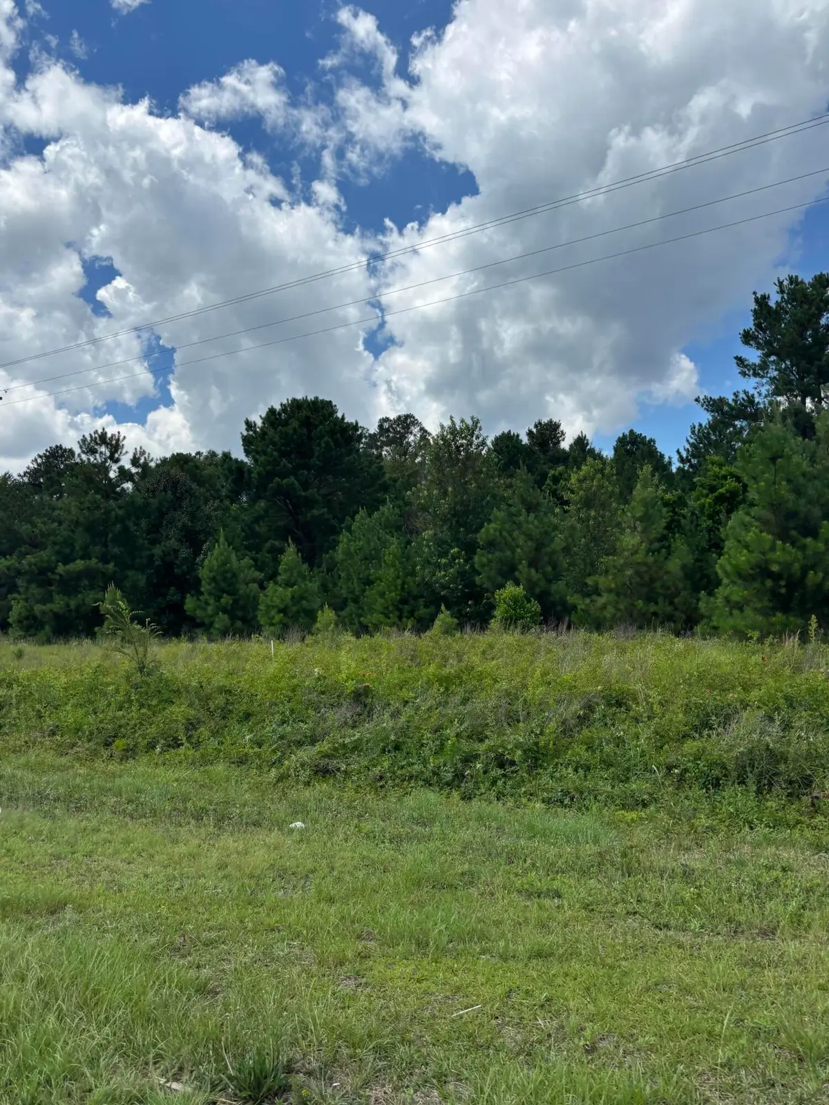 4315 Thomas Sumter Highway, Dalzell, SC 29040 - #1