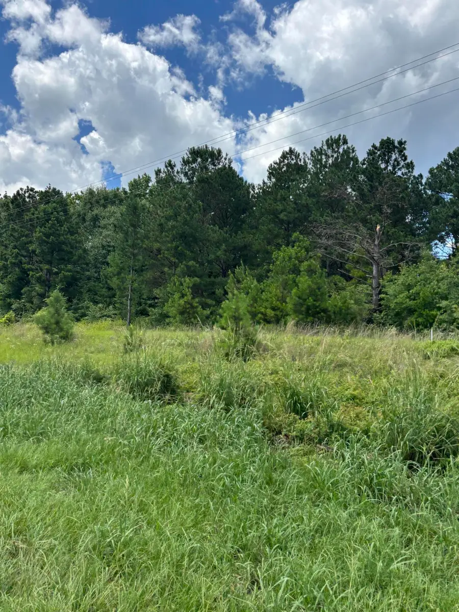 4315 Thomas Sumter Highway, Dalzell, SC 29040 - #2