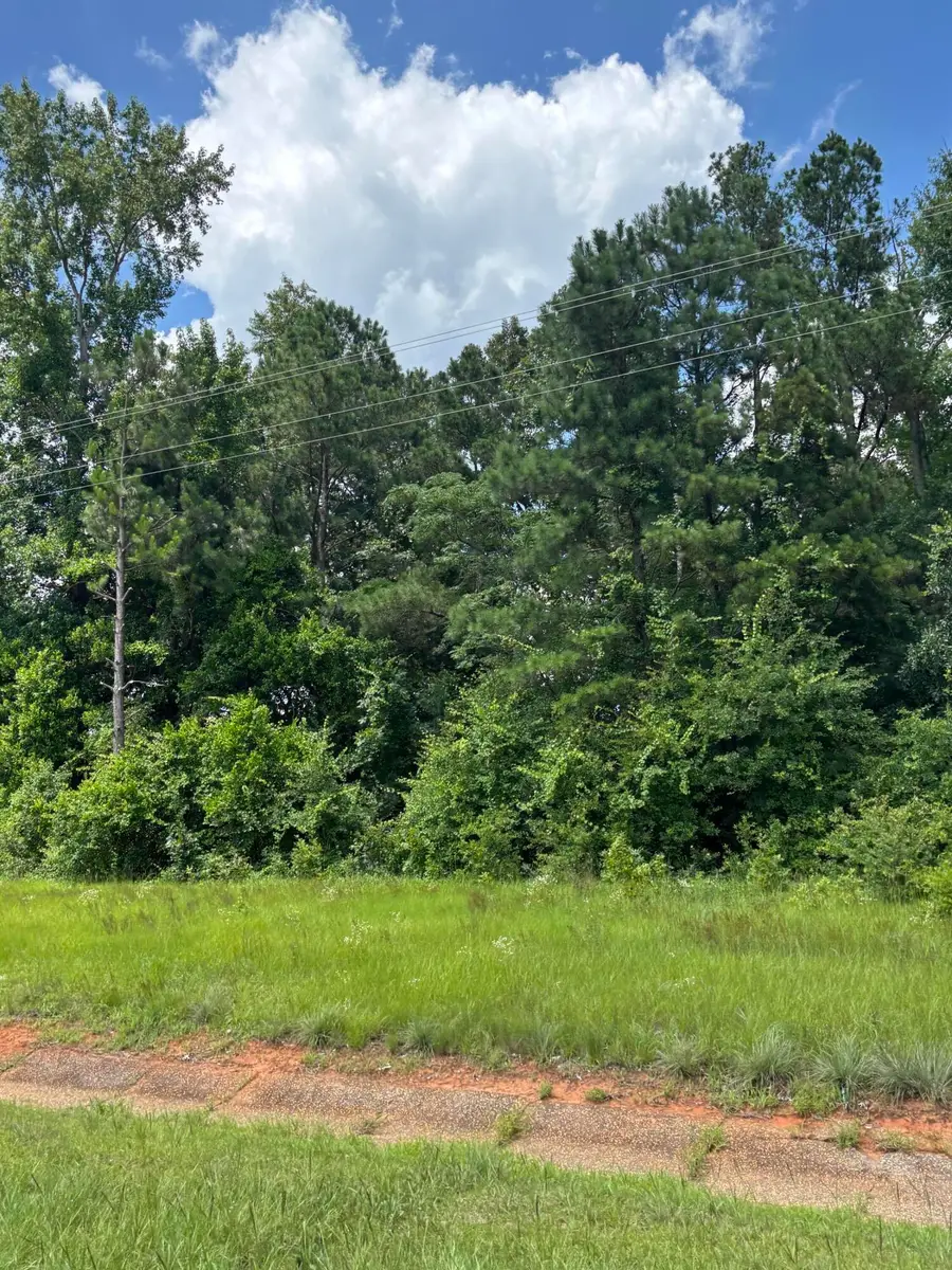 4315 Thomas Sumter Highway, Dalzell, SC 29040 - #3