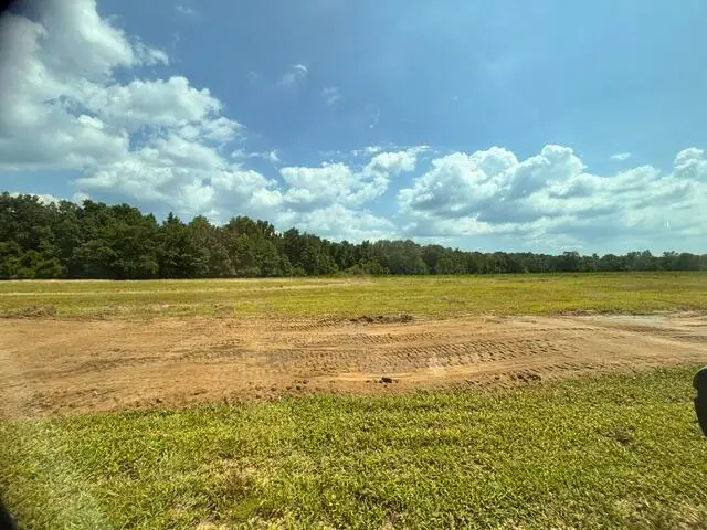 2003 Driggers Lane, Manning, SC 29102 - #3