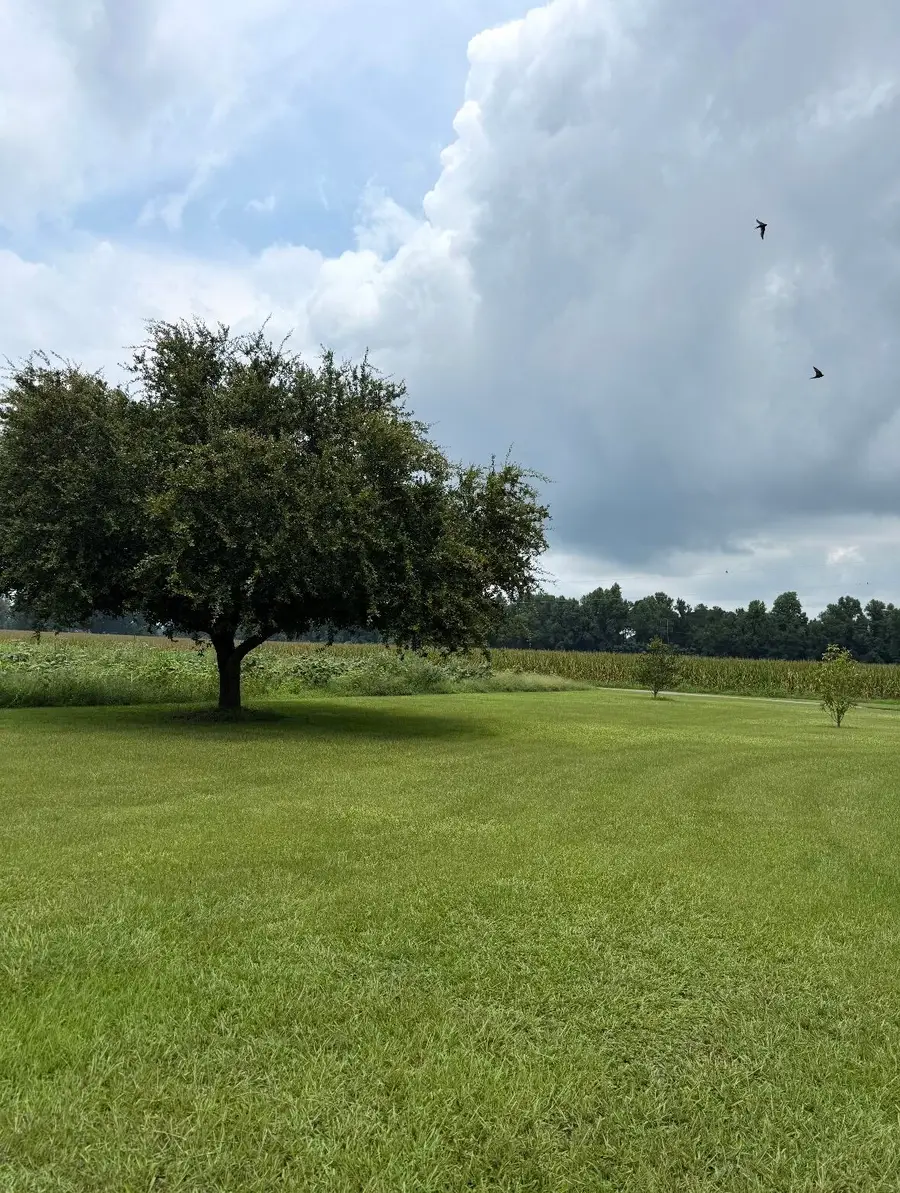 2152 Brogdon Road, Alcolu, SC 29001 - #3