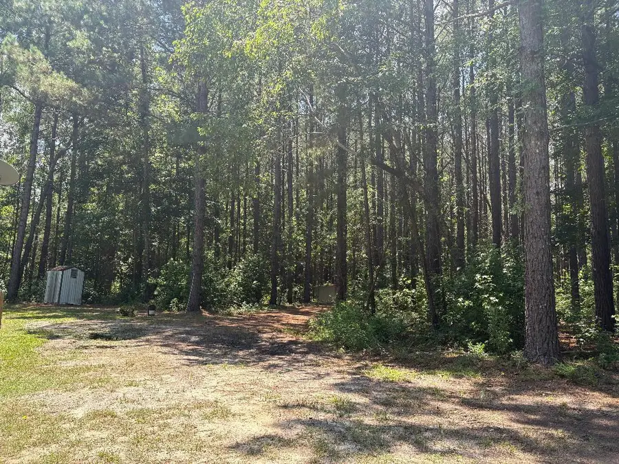 4435 Bethel Church Road, Pinewood, SC 29125 - #3