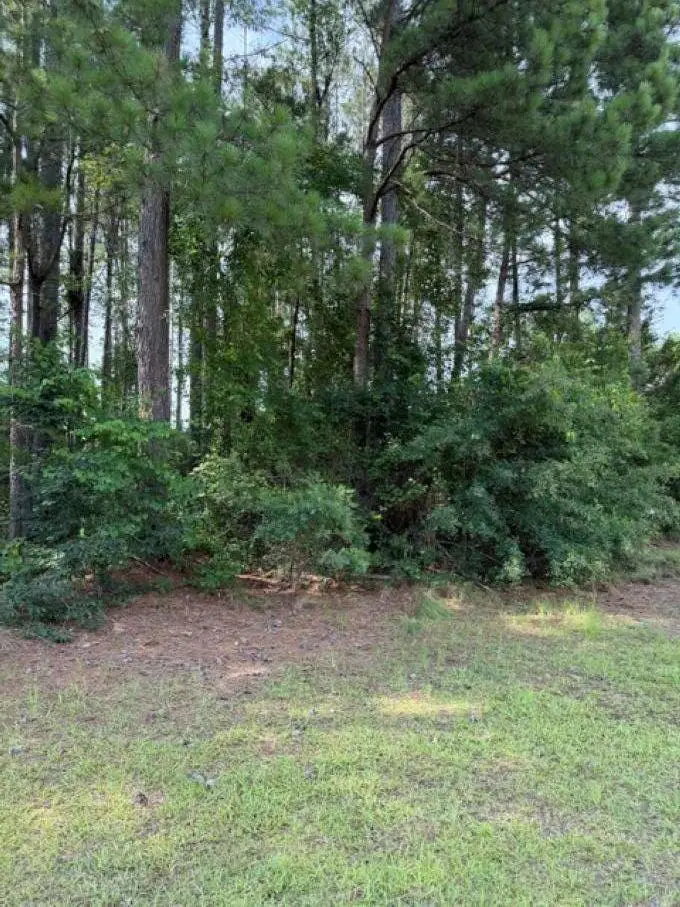 2140 Watersong Run, Sumter, SC 29150 - #1