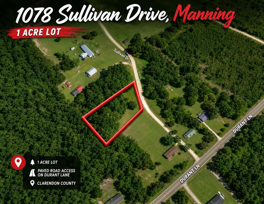 1078 Sullivan Drive, Manning, SC 29102 - #2