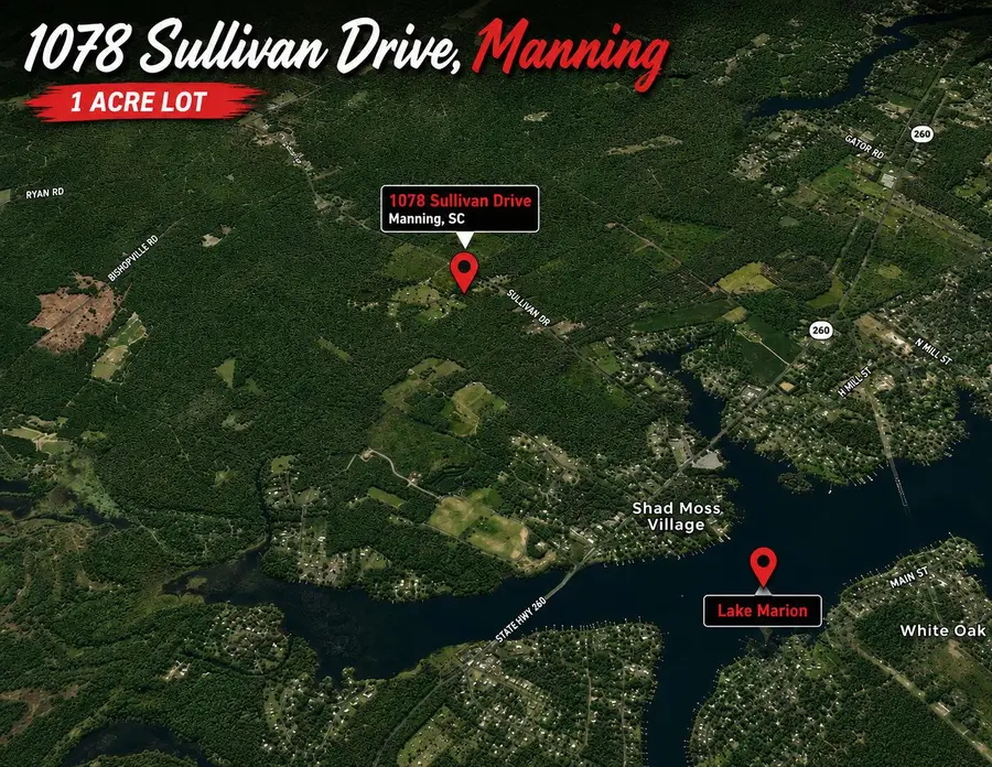 1078 Sullivan Drive, Manning, SC 29102 - #3