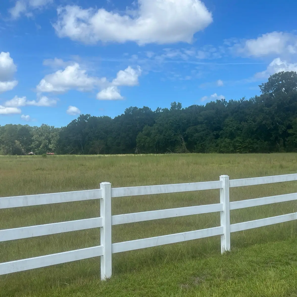 Uk Winnwood Lane, Summerton, SC 29148 - #1