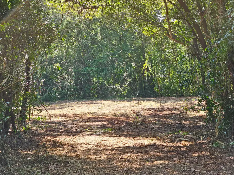 860 Lewis Road, Sumter, SC 29154 - #2