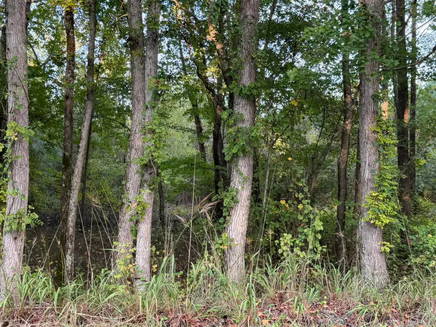 Tbd Black River Road, Rembert, SC 29128 - #2