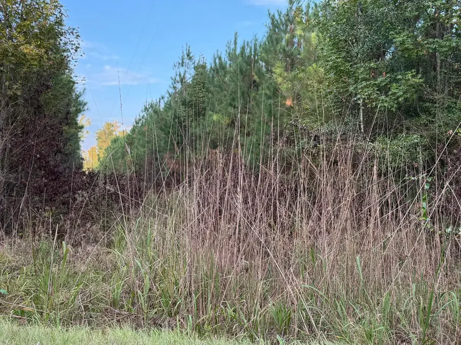 Tbd Black River Road, Rembert, SC 29128 - #3