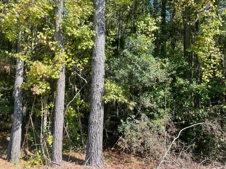 2500 Camden Highway, Sumter, SC 29153 - #2