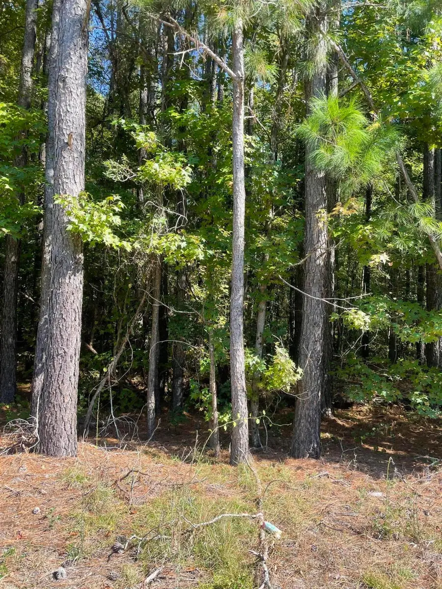 2500 Camden Highway, Sumter, SC 29153 - #3