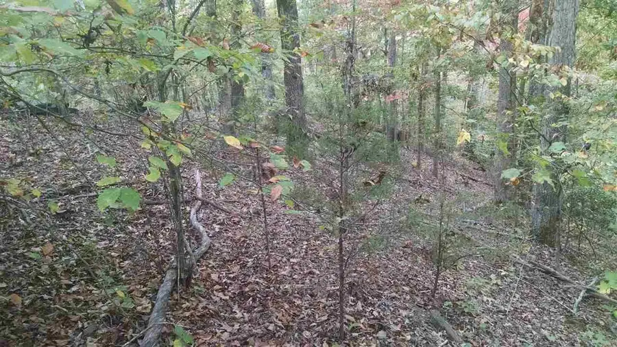 #2