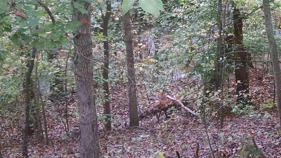 #3