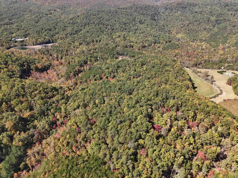 46.6 Acres Regan Jackson Road, Mill Spring, NC 28756 - Image #3