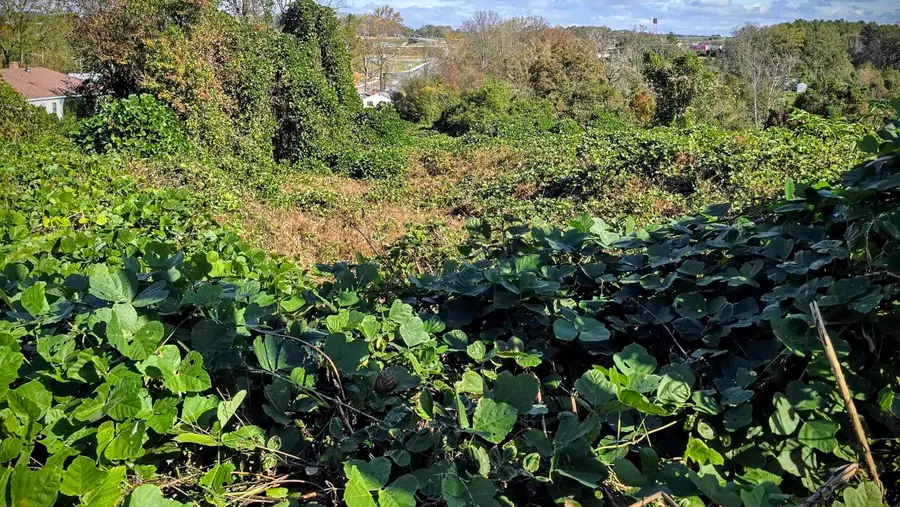 1812 N Limestone Street, Gaffney, SC 29340 - Image #3