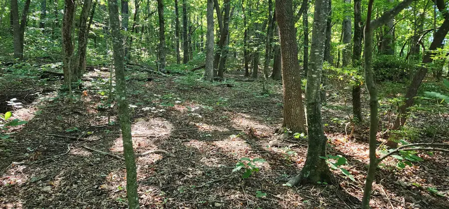 #2