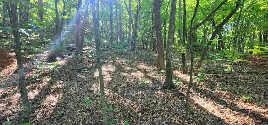 #3