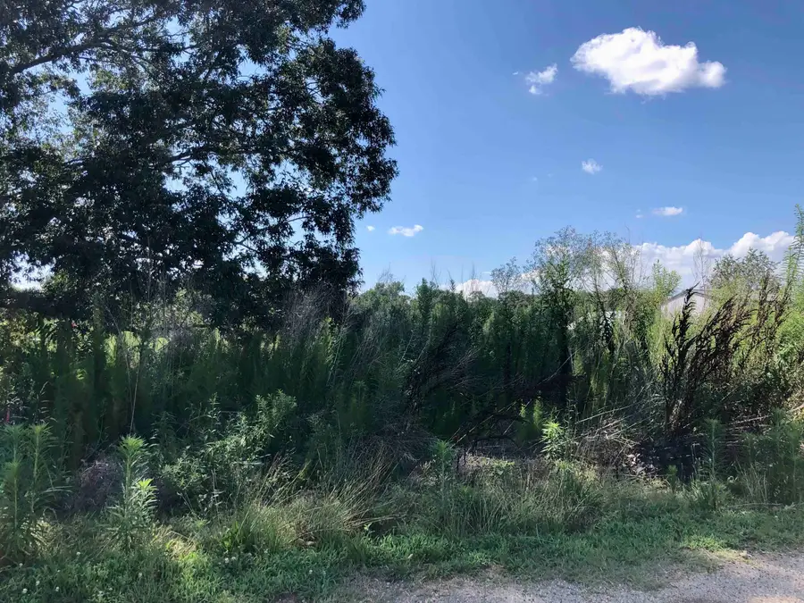 P/O 491 Island Creek Road, Cowpens, SC 29330 - Image #2