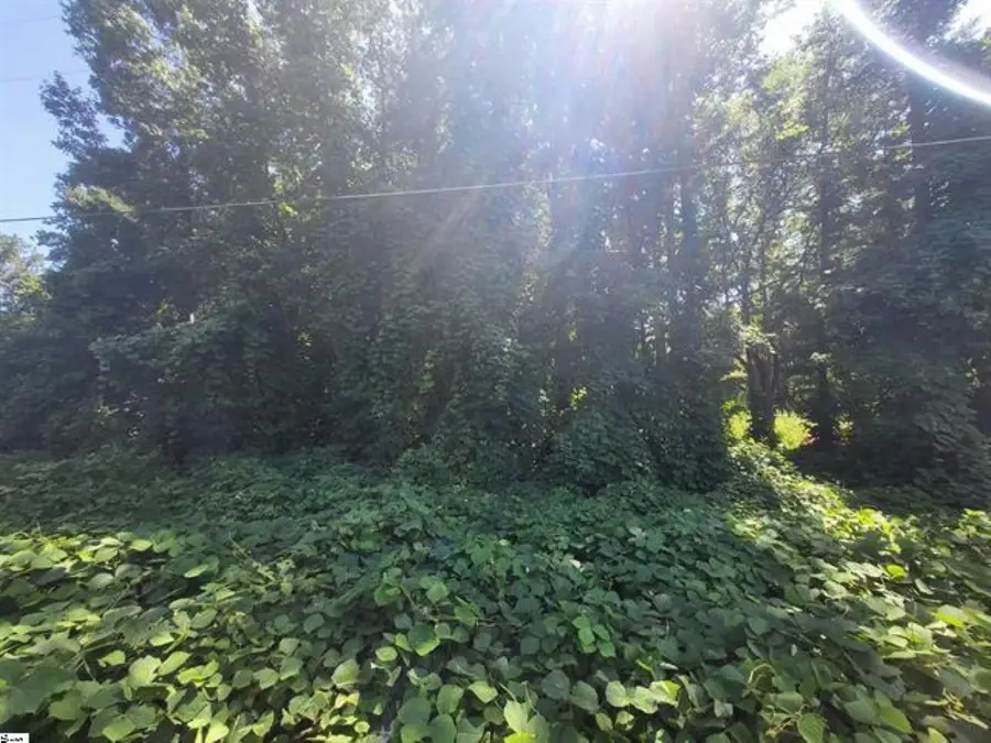 00 Clark Road, Inman, SC 29349 - Image #2