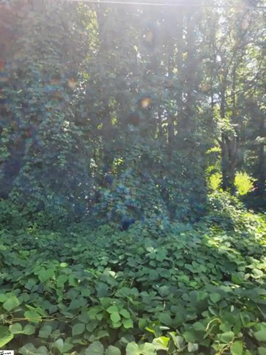 00 Clark Road, Inman, SC 29349 - Image #3