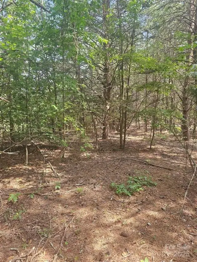 0 Green Creek Drive, Tryon, NC 28782 - Image #3