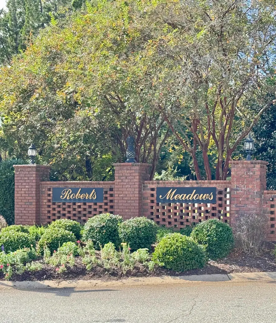 432 Savanna Plains Drive, Spartanburg, SC 29307 - Image #3