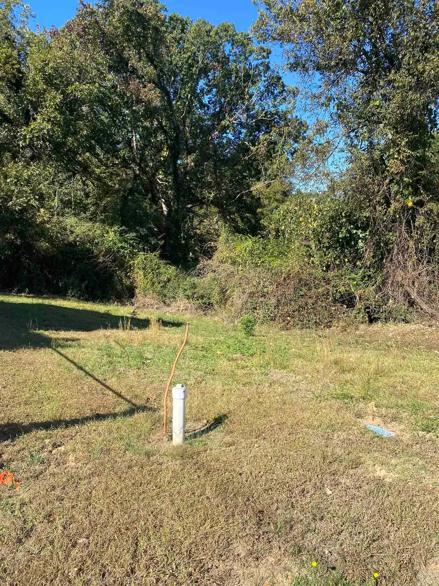 310 Gage Avenue, Union, SC 29379 - Image #2