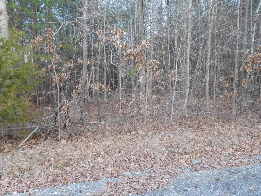 TBD Tanner Road Road, Smyrna, SC 29743 - Image #3
