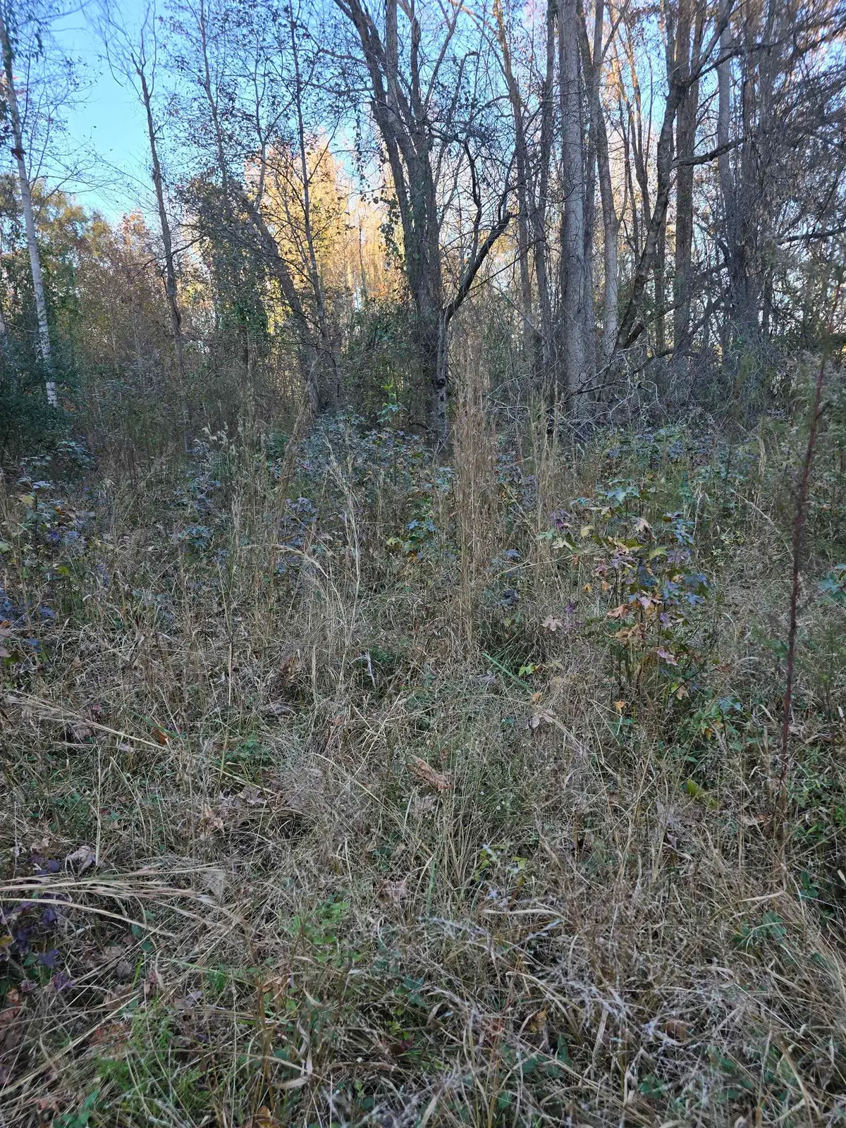 0 Graham Chapel Road, Cowpens, SC 29330 - Image #1