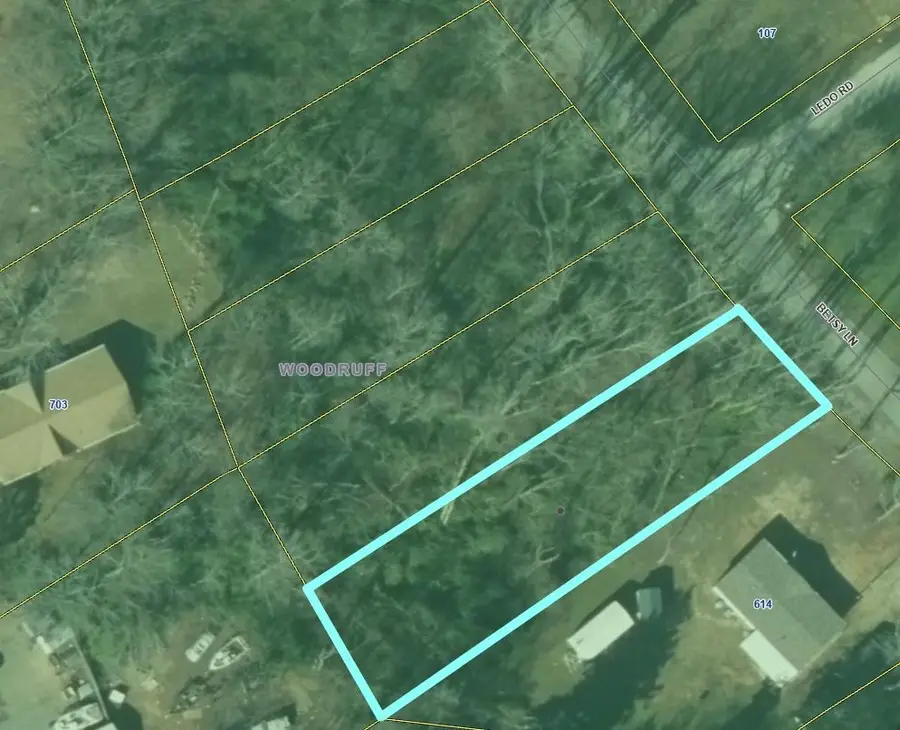 0 Betsy Lane, Woodruff, SC 29388 - Image #3