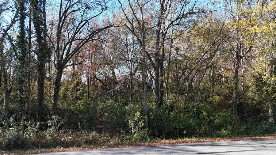 000 Betsy Lane, Woodruff, SC 29388 - Image #3