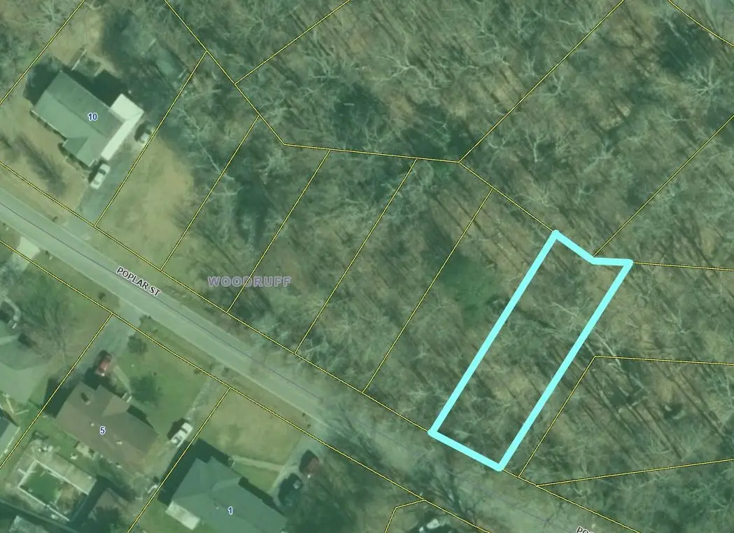 000 Poplar Street, Woodruff, SC 29388 - Image #1