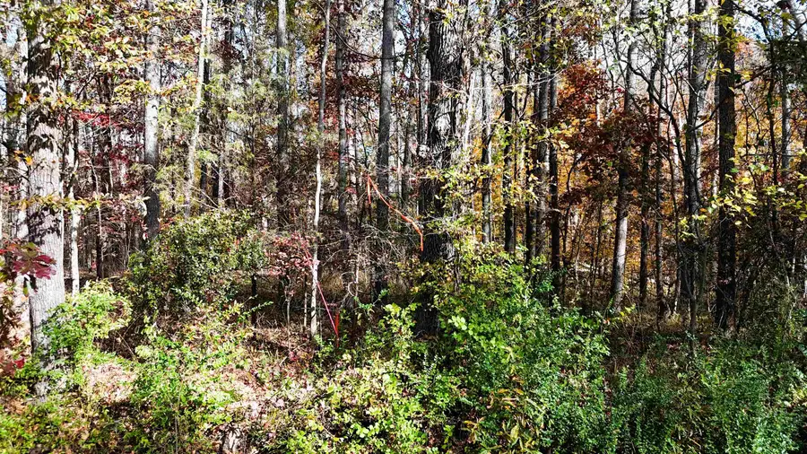 0000 Poplar Street, Woodruff, SC 29388 - Image #2