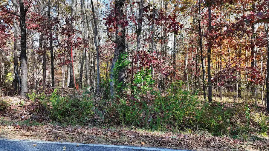 00000 Poplar Street, Woodruff, SC 29388 - Image #2