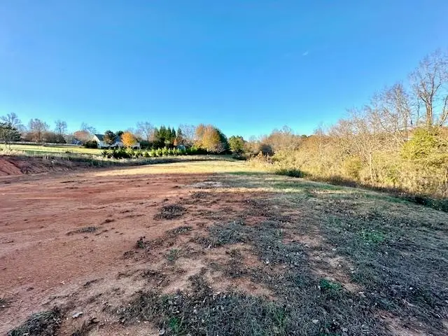 184 Spivey Creek Road, Landrum, SC 29356 - Image #1