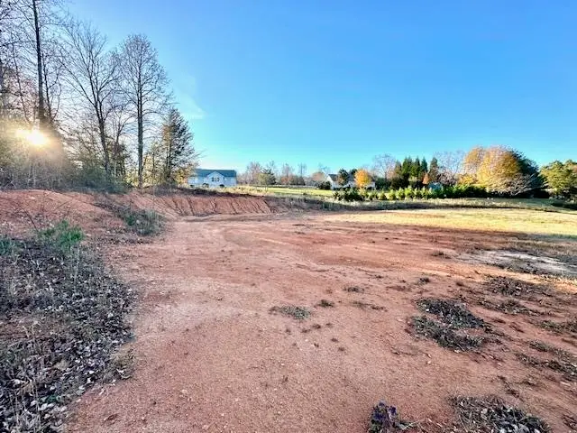 184 Spivey Creek Road, Landrum, SC 29356 - Image #2