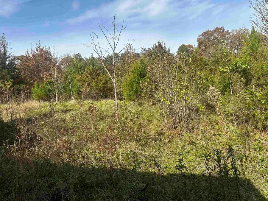 1948 Fews Chapel Road, Greer, SC 29651 - #2