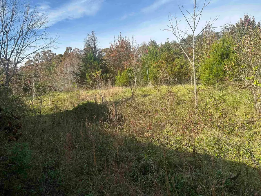 1948 Fews Chapel Road, Greer, SC 29651 - #3