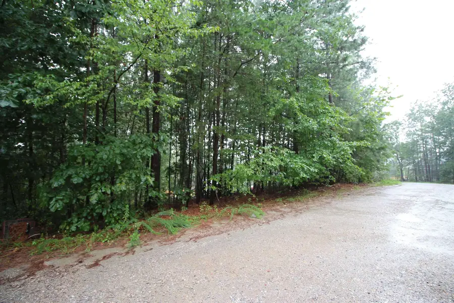 0 Jesse Trail, Gaffney, SC 29341 - Image #2