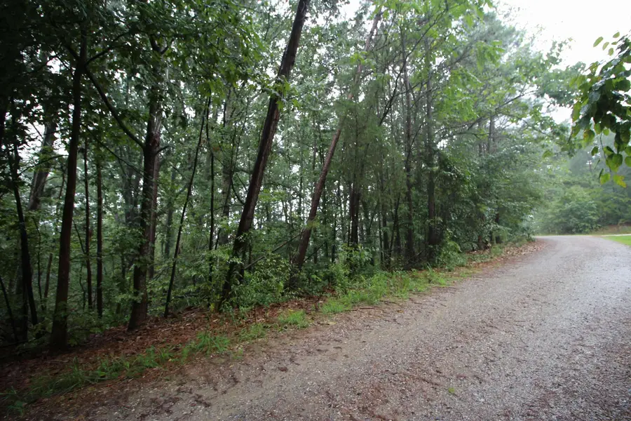 0 Jesse Trail, Gaffney, SC 29341 - Image #3